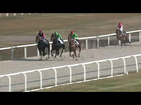 2021.11.21. 04. futam - VÁROSLIGETI DÍJ (V.kat.) (szintetikus pálya)