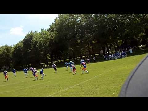 Przemyśl Bears- Flying Bears || Promo-movie