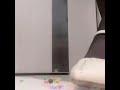 ASMR Trampling Color Crystal Balls In White High Heeled Sandals And Black Tights