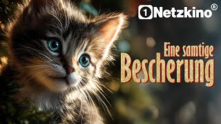 Eine samtige Bescherung (NEUER WEIHNACHTSFILM auf Deutsch, ganze Liebeskomödie, Holiday Romance)