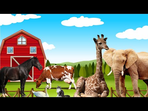Animais e seus filhotes para crianças🐘🦒🐮🐱🦆🐴- Yzinhakids | Video Infantil Musical Oficial