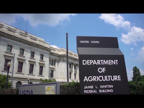 Food experts worry as USDA reinstates food stamp recertification