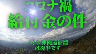 ハシレ　持続化給付金 特別定額給付金の手続きと宇宙戦艦ヤマト談義　「しんまちTV」meets "Hey! Mr. BROWNIE"