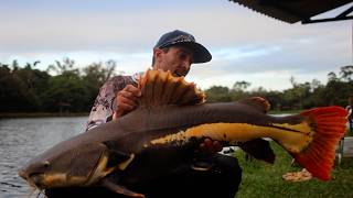 Pirararas na ULtralight - Pesqueiro EZIO Campinas Pescaria Animal e uma Briga Insana