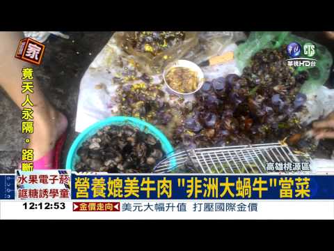 路斷糧絕! 災民抓蝸牛果腹