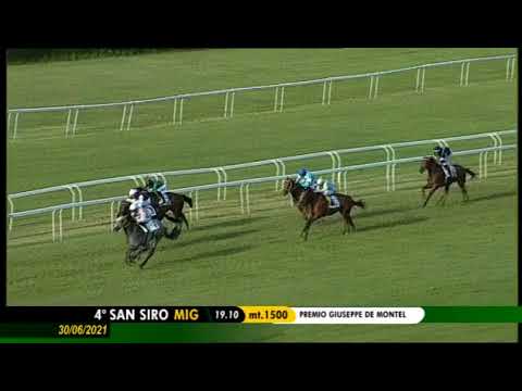 2021.06.30 Prmio Giuseppe De Montel (ITA) - Don Chicco