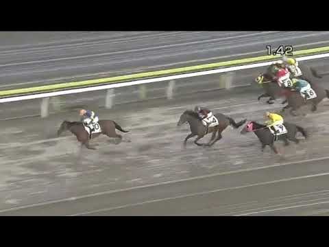 2020 JAPAN Racing _ KEIBA Race 8