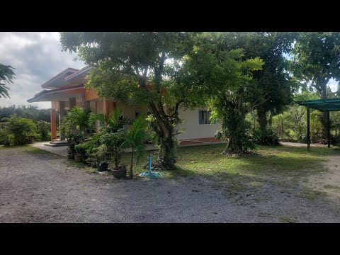 breve passeio pela minha casa na zona rural de San Patong 🇹🇭 Tailândia