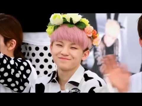 [SEVENTEEN] Expectation VS Reality: Woozi ver.