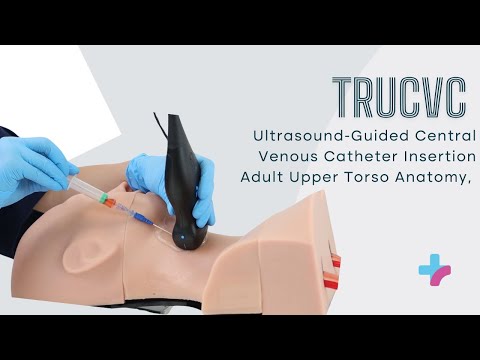 Smart Airway Adult