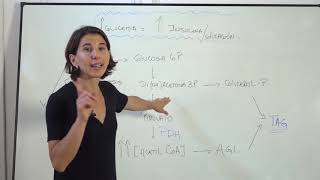 INTEGRACION METABOLICA AYUNO Y SACIEDAD