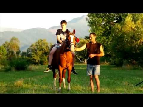 Tierische Begegnungen in Rumänien Teil 1