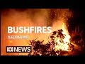 The science of bushfires explained | ABC News
