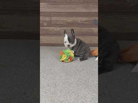 Video 6