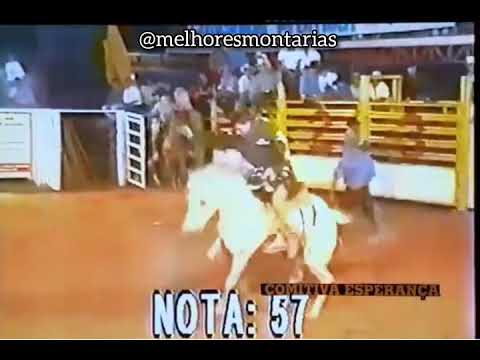 AMARILDO FRANCISCO (EM MEMÓRIA) X CARIJÓ - RODEIO DE PONGAI 1999