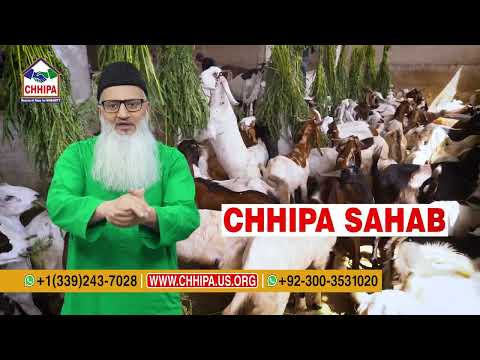 Chhipa Ijtamai Qurbani 2025 (Chhipa Sahab As Trustee)