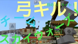 まさかの弓キル！？ チームスカイウォーズをやってみた！