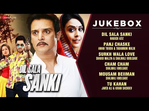 Tu Kahan - by Kiran Sachdev and Javed Ali(Film Dil Sala Sanki starring Jimmy Shergill - Zee Music)
