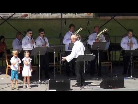 Dechová hudba Záhořané festival DH ve Zdounkách 2013