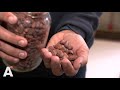 Chocoladefabriek opent deuren voor bezoekers