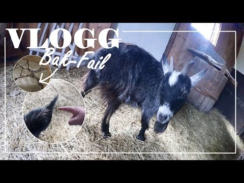 Ska hon föda redan?! + Mitt hemliga projekt 😍 | VLOGG #134