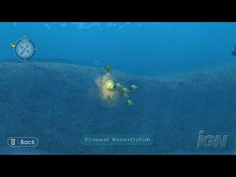 Endless Ocean Nintendo Wii Video - Coral Forest