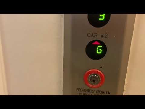 Slow Otis Traction Elevators | Miami Beach, FL