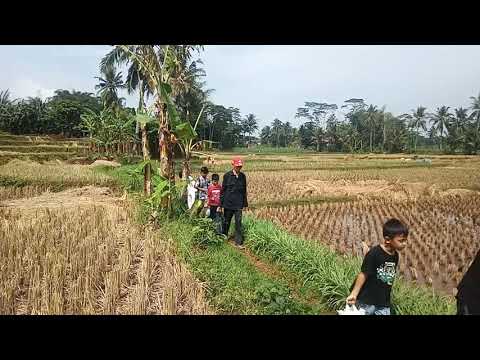 Otw Ngeliwet Anak kampung 5