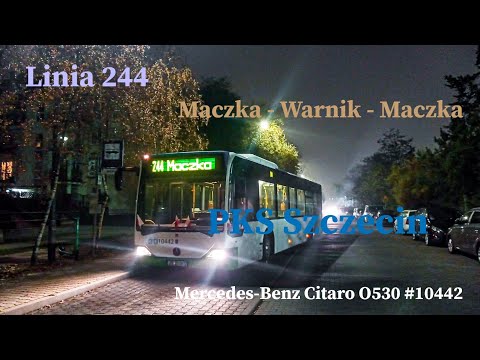 [*] Linia 244 Szczecin Maczka - Warnik - Maczka Mercedes-Benz Citaro O530 #10442