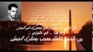 كلمات اغنية لحن الاصيل طلال مداح