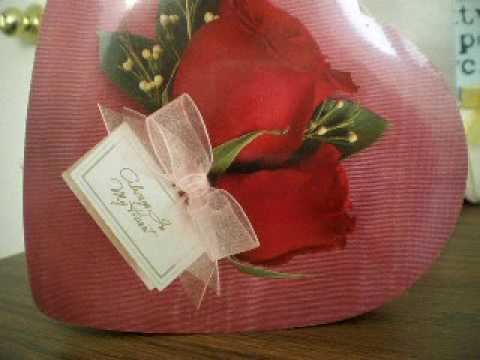 Pronunciation of American English COM120 Spring2010-Ngo Kieu Trinh