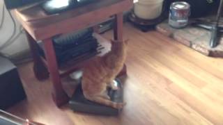 Grandpa Jones Goes for a Ride!