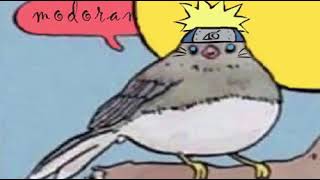 Annoyed Bird Meme Naruto
