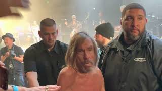 Iggy Pop &amp; The Losers - I Wanna Be Your Dog