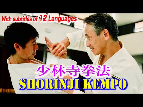 Verification of Shorinji Kempo！少林寺拳法の凄さを堪能できる映像【大いなる遺産２検証企画】