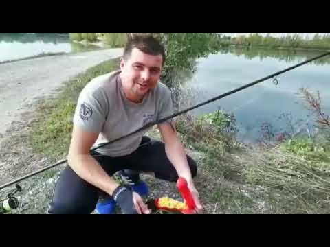 Vidéo YouTube