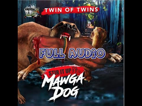 Twin Of Twins - Stir It Up Vol.11.5 - Mawga Dog - Twin Of Twins
