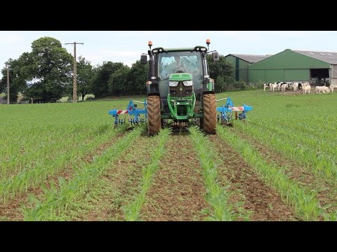 download lagu mp3 mp4 Bineuse Occasion, download lagu Bineuse Occasion gratis, unduh video klip Bineuse Occasion