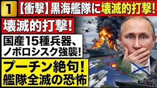 【ロシア黒海艦隊に異変】ノボロシスクが標的に…ウクライナ「15種の国産兵器」が変える戦況