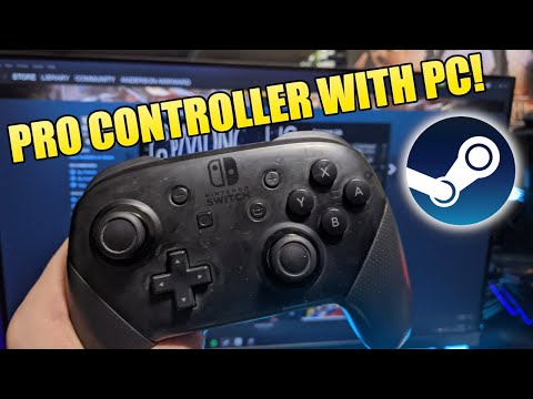 How to use a Nintendo Switch Pro Controller with your PC! (EASY) (2020) | SCG