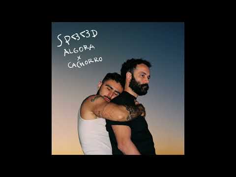 Algora & Cachorro - Sp❤️️❤️️d [AUDIO]