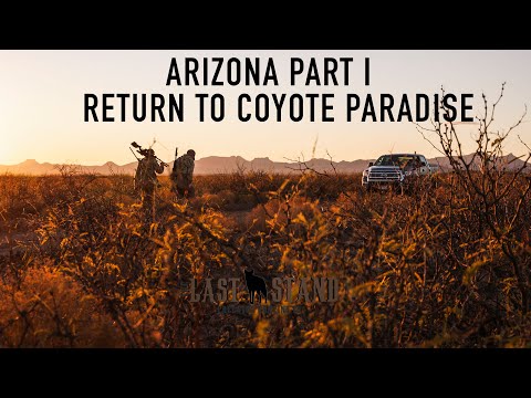 Arizona Part I: Return to Coyote Paradise | The Last Stand S3:E7 | Desert Coyotes