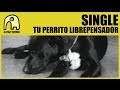 SINGLE - Tu Perrito Librepensador [Official]