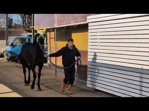 {{itemName}}_video_thumbnail