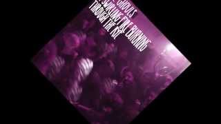 COOL GHOULS - Reelin' [album "A Swirling Fire Burning Through The Rye", 2014]