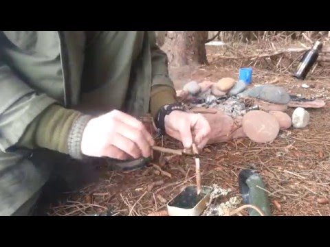 SPRUCE PITCH GLUE (#bushcraft)