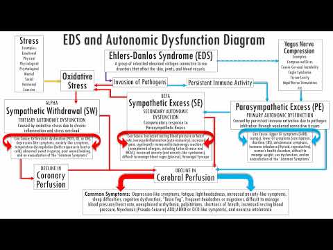 EDS and Autonomic Dysfunction - Recognizing why this connection matters when symptoms don’t respond