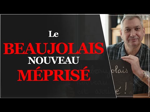 C'est FAUX ! Un vin marketing ? | Le Beaujolais Nouveau | Tout savoir sur