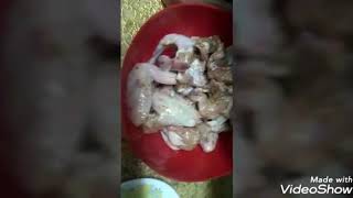 صنيه اجنحه بالبطاطس وجبه اقتصاديه والطعم والريحه حكايه