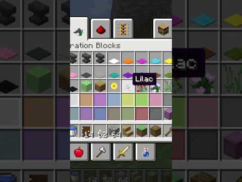 I build Small Village in Minecraft Creative mode 2023 Day 761 #shorts
